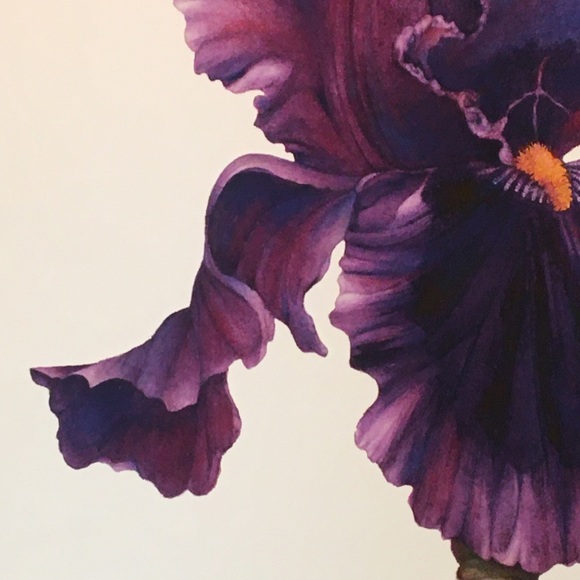 PAGAN DANCE BEARDED IRIS Giclee print on premium paper - Picture 5 of 6